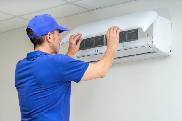 Best Air Duct Mold Removal  in Emeryville, CA